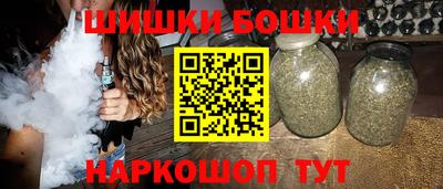 гашик Новодвинск